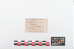 Etiketten zu Bronzearmreif (NHMW-PRAE-024205)